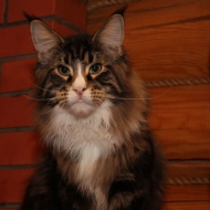 img_9818