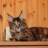 IMG_4080